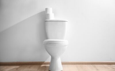 Understanding the Various Toilet Types | Plumbing Service in Chattanooga, TN