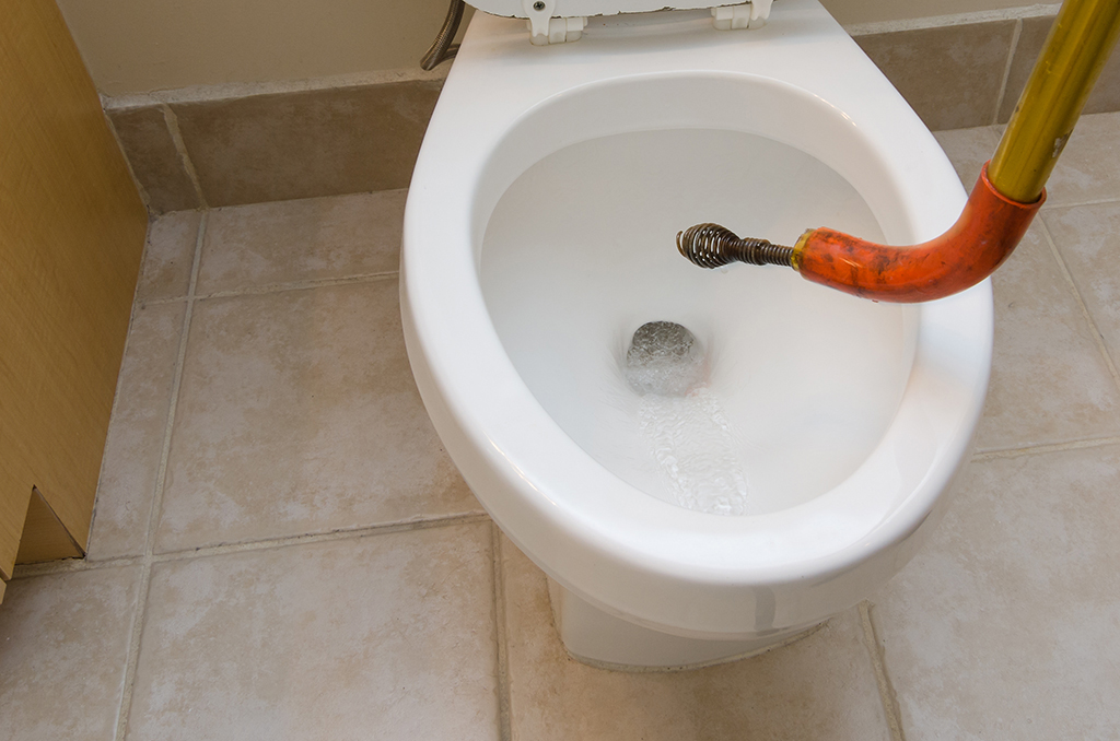 Calling for Backup When You Need Your Plumbing Company   Cleveland TN