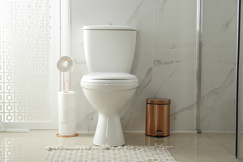 Plumber Tips Why You Shouldnt Flush Sanitary Items Down Your Toilet   Chattanooga TN