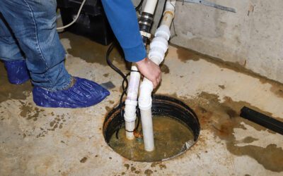 Signs You Need Professional Sump Pump Services | Insight From Your Local Plumber | Cleveland, TN