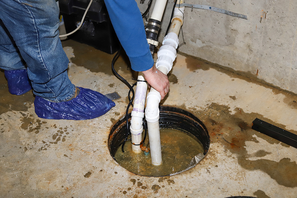 Signs You Need Professional Sump Pump Services   Insight From Your Local Plumber   Cleveland TN