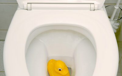 Drain Cleaning Service: Common Causes Of Blocked Drains In Domestic Properties | Chattanooga, TN