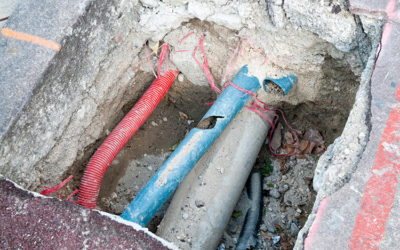 Common Sewer Line Repairs and How to Minimize Costs