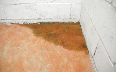 Understanding Slab Leaks Under Your Floor: What You Need to Know